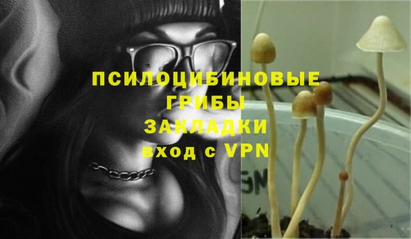 a pvp Армянск