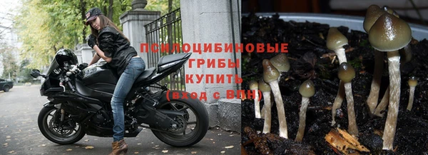 дурь Аркадак