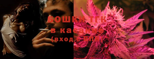 трава Арсеньев