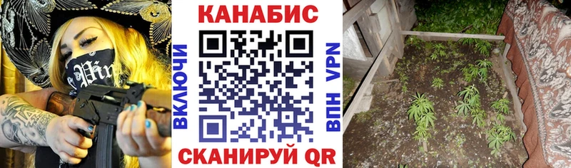 Конопля планчик Артёмовск